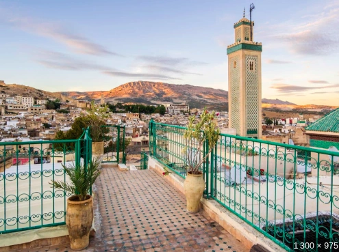 Rencontre et chat à Fès : balade dans la médina, vue sur les tanneries et thé à la Bou Inania