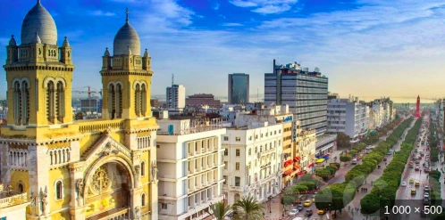 Rencontre et chat entre Marocains à Tunis : Médina, Sidi Bou Saïd et sorties culturelles